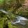 Image des berges de la Valserine dans le Parc Naturel Régional du Haut Jura