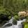 Photographie de petites cascades dans la forêt de Septmoncel dans le Jura