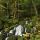 Photographie de cascades en sous bois dans la forêt du Jura près de Septmoncel
