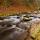 Photographie des bords du Chéran en automne dans le Massif des Bauges
