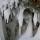 Photo de stalactites de glace dans la rivière du Fornant durant l'hiver 2012