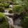 Photo de petites cascades de printemps sur le torrent du Castran