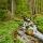 Photographie d'un ruisseau de printemps dans la forêt de la Valserine