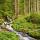 Photo d'un torrent de printemps dans la vallée de la Valserine