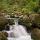 Photo de petites cascades en sous bois sur le torrent du Bronze