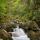 Photographie de petites cascades en sous bois dans les Gorges du Bronze