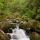 Image de petites cascades en sous bois sur le torrent du Bronze