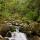 Photo de petites cascades en sous bois dans les Gorges du Bronze