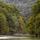 Photo de la forêt  de la vallée du Rhône entre l'Ain et la Haute Savoie