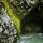 Image de mousse verdoyante sur les rochers au bord du Fornant en Haute Savoie