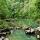 Photo d'un lapiaz submergé et de la forêt de printemps dans les Pertes de la Valserine