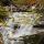 Photographie des couleurs d'automne autour de la cascade de la Diomaz à Bellevaux