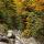 Image de forêt de montagne en automne autour du ruisseau de la Diomaz en Haute Savoie