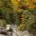 Image de forêt de montagne en automne autour du ruisseau de la Diomaz en Haute Savoie