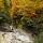 Photo des derniers mètres de la cascade de la Diomaz avant qu'elle ne pénètre dans la forêt