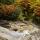 Photographie du ruisseau de la Dioma et des couleurs d'automne sur la forêt