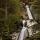Photographie de la cascade de la Diomaz à Bellevaux