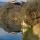 Image du château de Bassy et de son reflet sur l'eau du Rhône