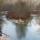 Image de la rivière des Usses en hiver près d'Usinens