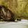 Photo de rochers et de ripisylve dans les Gorges du Chéran à Héry sur Alby