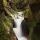 Photographie d'une petite cascade sur un affluent du Chéran dans le Massif des Bauges