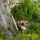 Photo de la cascade de Cerveyrieu entourée de verdure printanière dans le Valromey