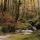 Photo de l'automne autour du torrent de l'Abîme dans les montagnes du Haut Jura