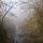 Photo du canyon de Barbannaz dans une ambiance de brouillard en hiver