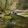 Image de la rivière des Petites Usses dans l'ambiance verte du printemps