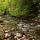 Photo du courant printanier dans la rivière du Tacon qui sort de la forêt près de Saint Claude dans le Jura