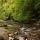 Photo du printemps autour de la rivière du Tacon à Saint Claude dans le Jura