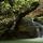 Photographie d'une petite cascade de printemps entre les rochers du torrent du Fornant
