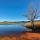 Photographie du paysage et de la végétation d'hiver autour du lac des Escarcets dans le Var