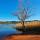 Image du lac des Escarcets en hiver dans le Massif des Maures