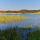 Photo des bords du lac des Escarcets au printemps