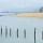 Image du lac du Bourget en hiver
