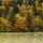 Photo de la forêt rougoyante en automne au bord du lac de Vallon à Bellevaux