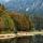 Photographie de la forêt colorée par l'automne au bord du lac de Montriond