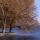 Image de platanes aux feuilles jaunies par l'automne sur les bords du lac d'Annecy