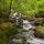 Photographie des Gorges du Bronze parsemées de petites cascades dans le Massif des Bornes