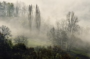 Accès à la galerie de photos sur la brume et le brouillard.