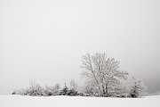 Accès à la galerie de photos de neige.