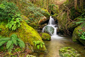 Cascades dans les rivi&egrave;res de Haute Corse