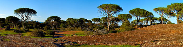 Photo panoramique de la plaine des Maures