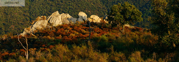 Photographie panoramique des cretes du Massif des Maures