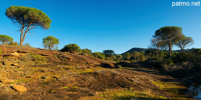 Paysage panoramique de la plaine des Maures