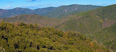 Massif des Maures Laquina