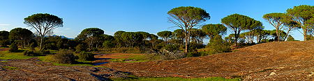 Photo panoramique de la plaine des Maures