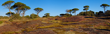 Photo panoramique de la Plaine des Maures