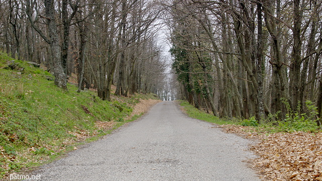 Photographie d'une petite route de montagne sur les crtes du Massif des Maures